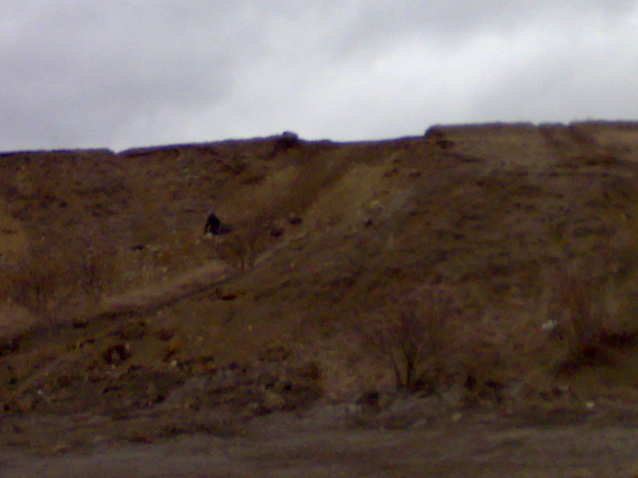 15032009347.jpg