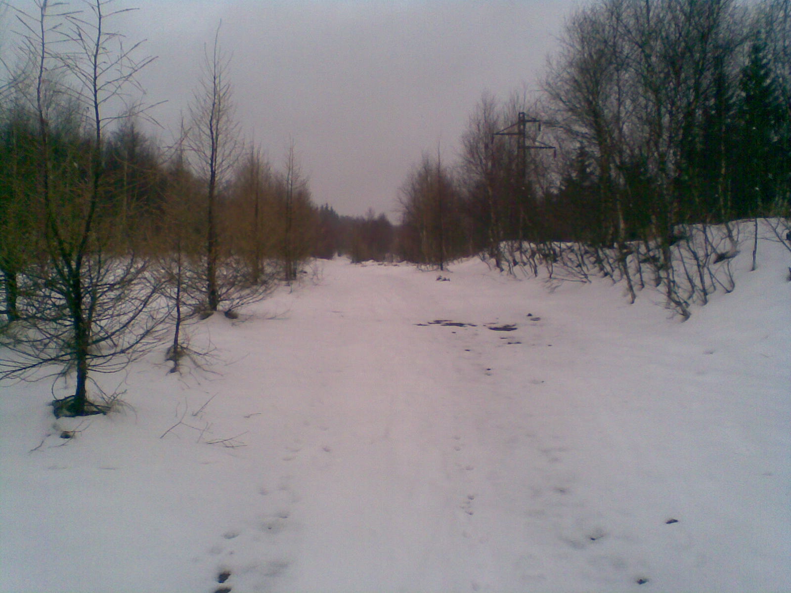 Obraz002.jpg