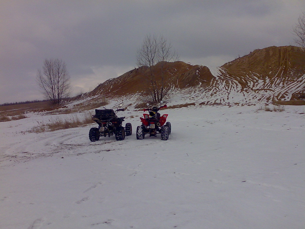 14022009251.jpg
