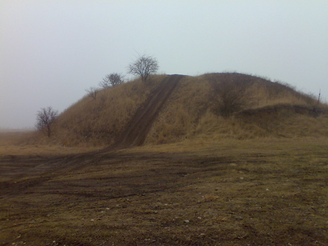 07022009215.jpg