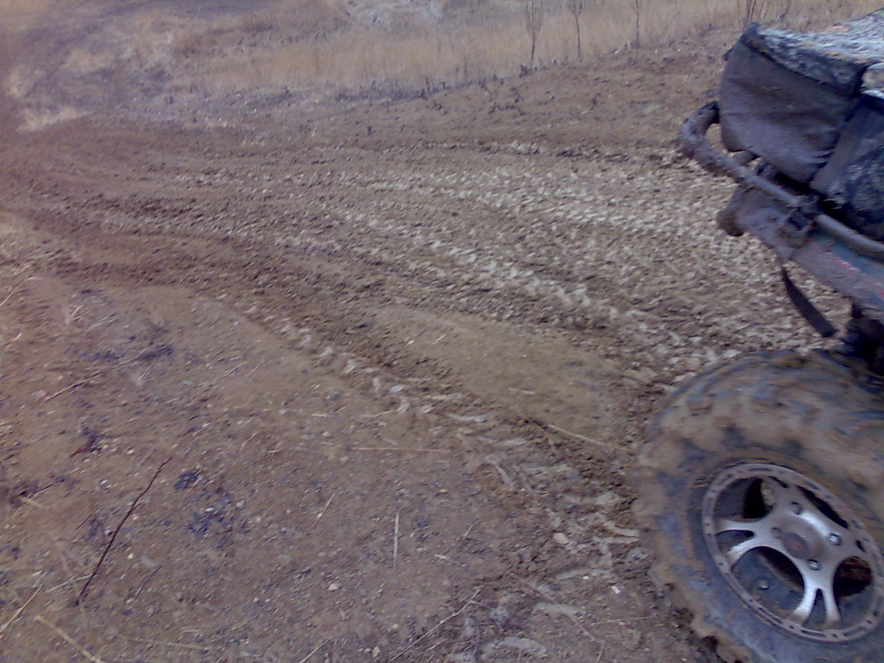 07022009222.jpg