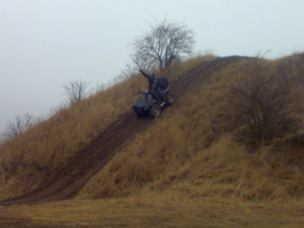 07022009231.jpg