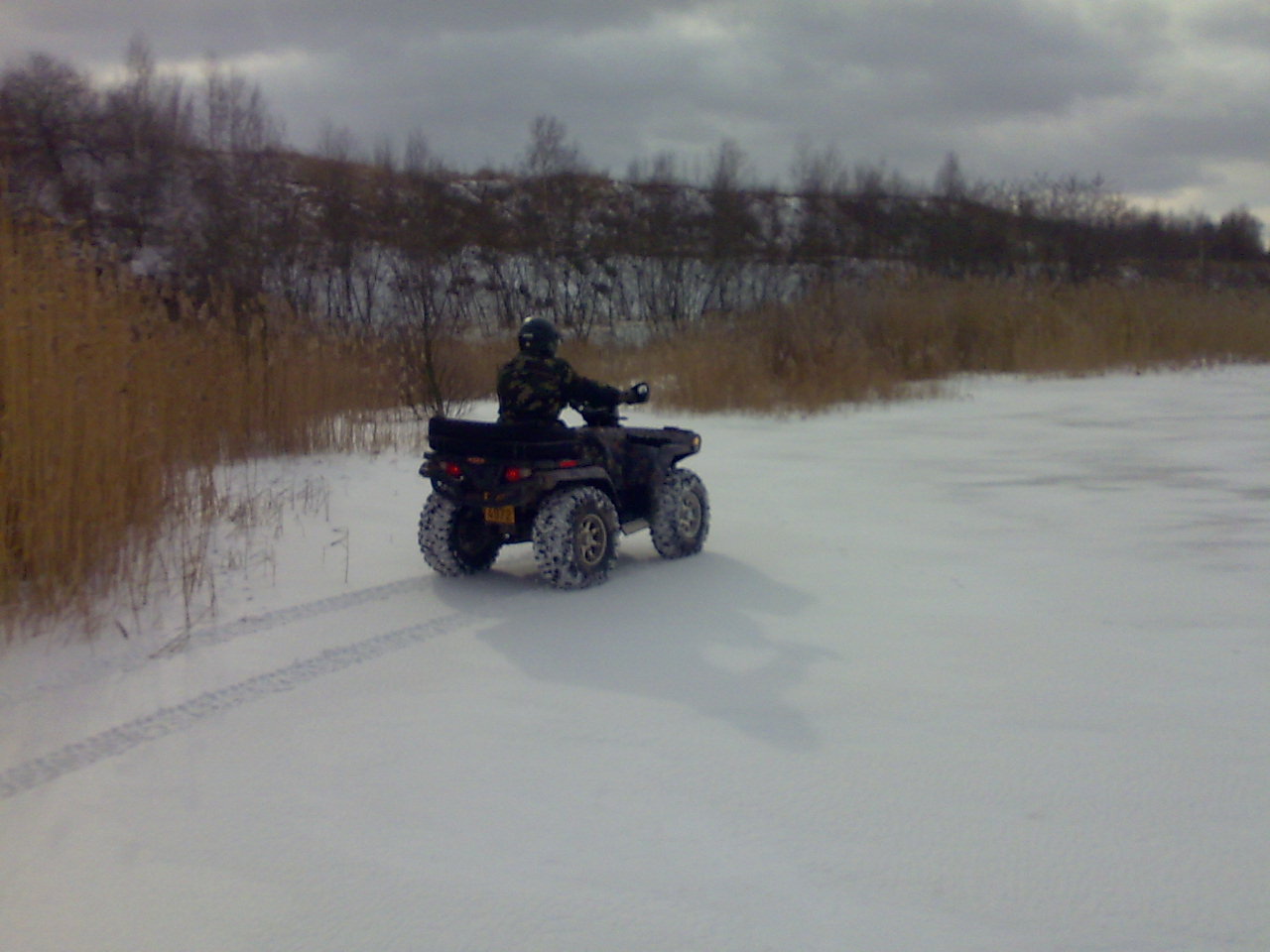 15022009298.jpg