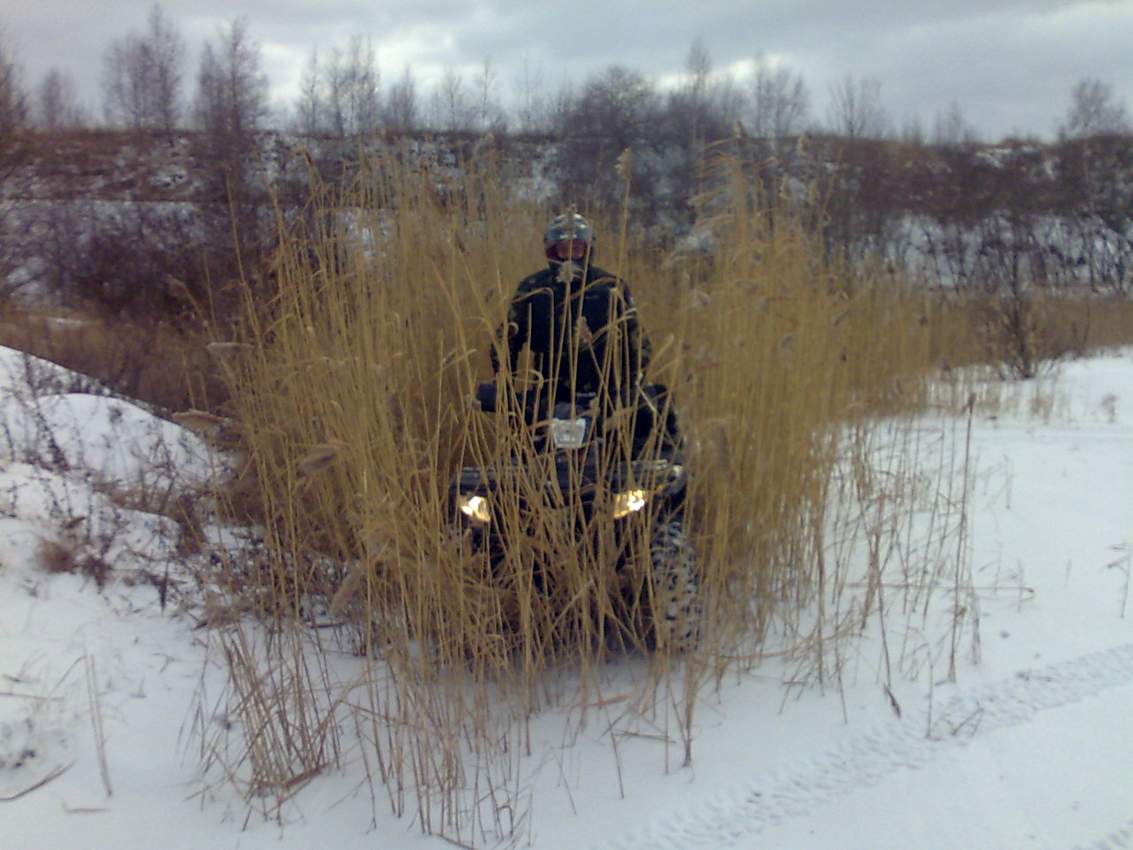 15022009300.jpg
