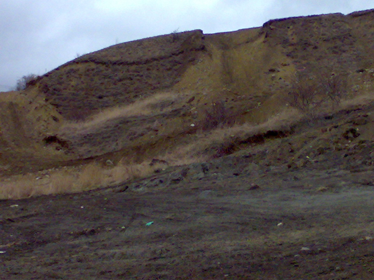 15032009348.jpg